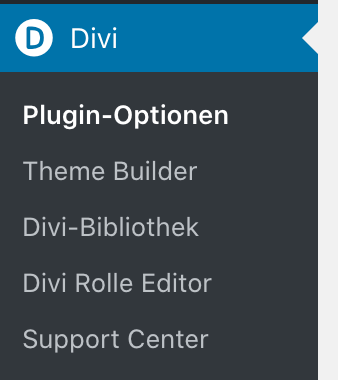 Theme Optionen von Divi in WordPress
