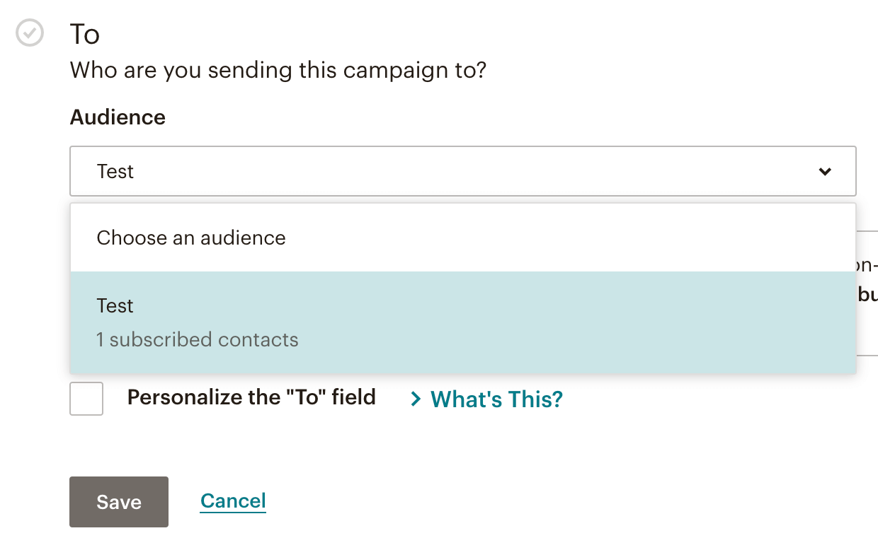 MailChimp Newsletter: Empfänger auswählen