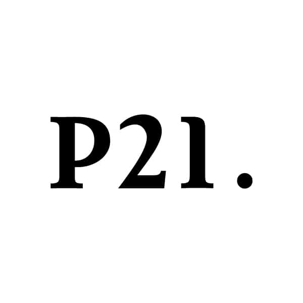 p21. - eine Agentur, mit der ich WordPress-Projekte umgesetzt habe
