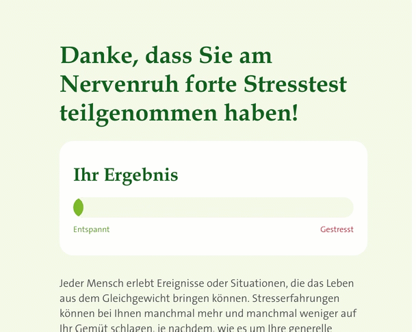 Ergebnis Stresstest mit CSS Animation